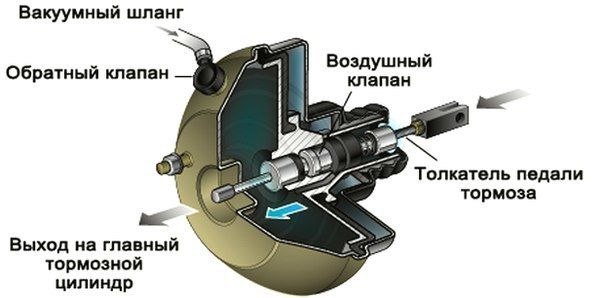 Вакуумный Вибратор Принцип Действия