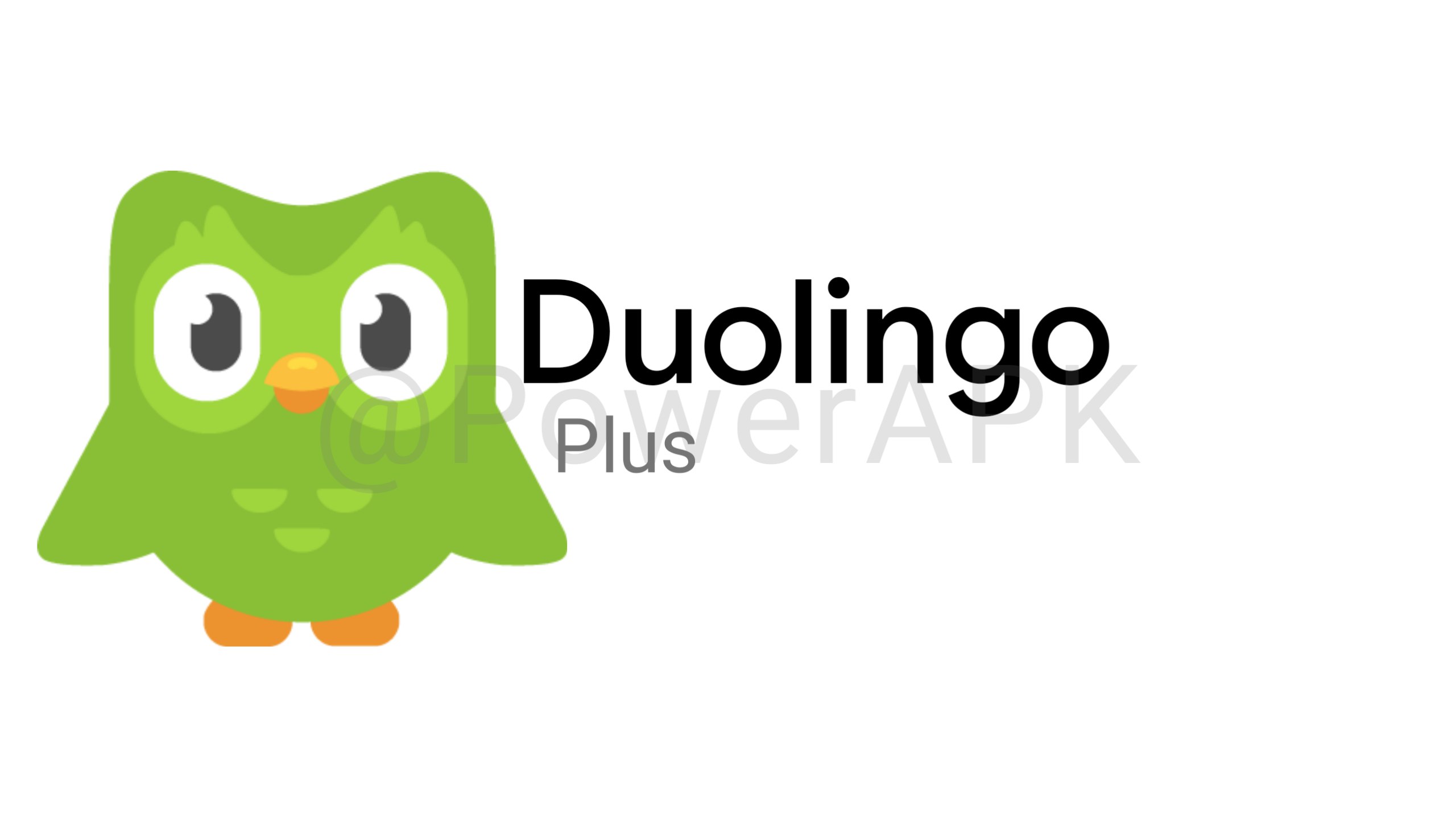 Duolingo 4pda. Angry Birds Duolingo. Duolingo 300*600. Duolingo испанский тема еда. Сова Дуолинго в одежде.