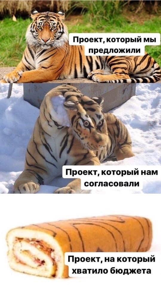 Хотите создать его в самом. Тигр рулет Мем. Тигр Мем. ЦИГР Мем. Мемы про тигров.