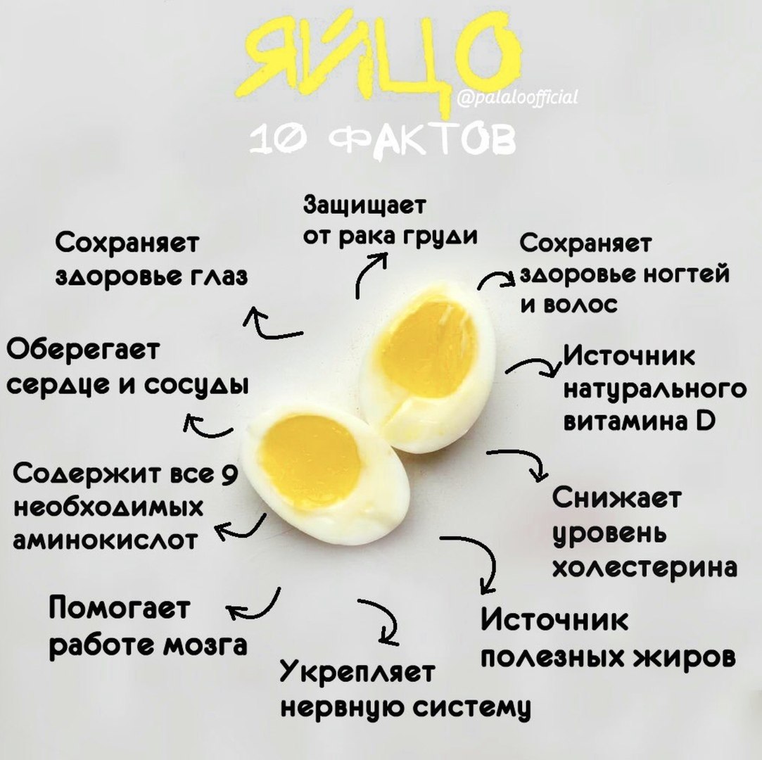 Чем полезно яйцо куриное