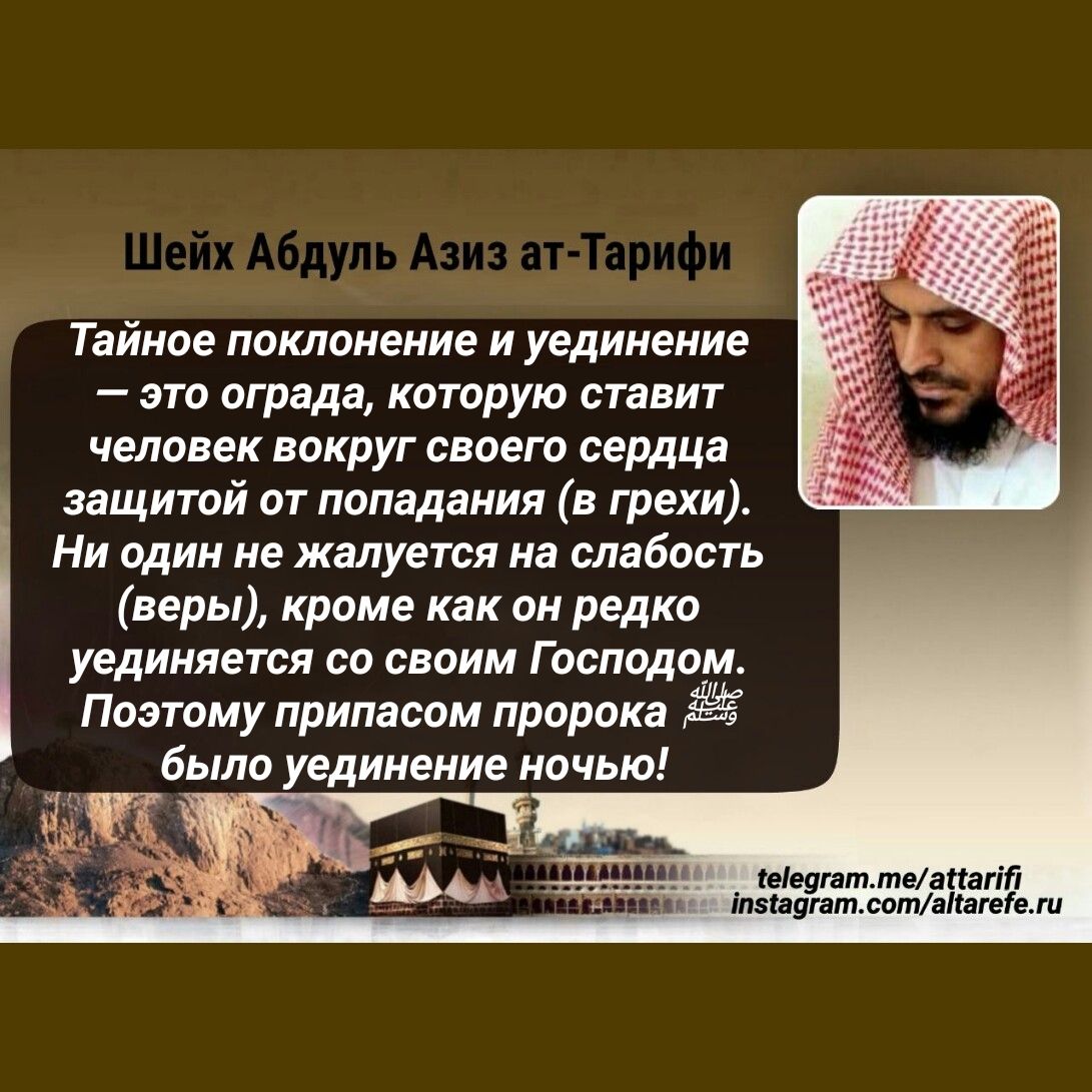 Тамир шейх телеграмм